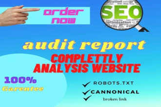 promote website audit report with manual and technical