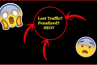 offer wordpress monthly onpage and off page seo services