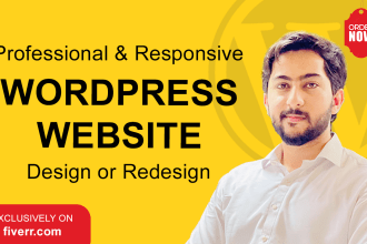design, redesign or revamp wordpress website with elementor