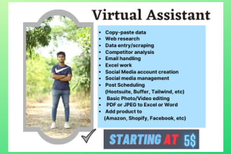 be your professional personal virtual assistant
