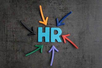 design your HR rewards strategy and organisational development plan