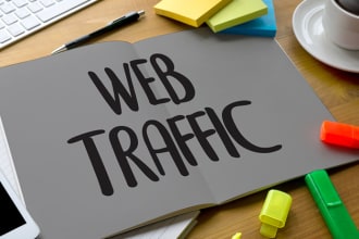 drive 300k real human traffic to your website or blog