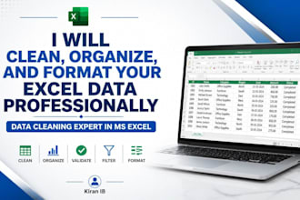 clean, organize, and format your excel data professionally
