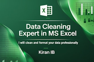 clean, organize, and format your excel data professionally