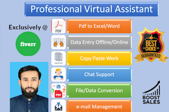 professional virtual assistant for personal and  business use