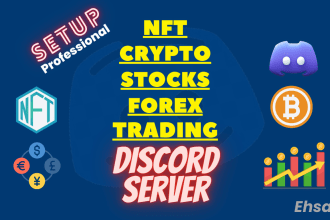 setup nft, crypto, forex, stocks discord server
