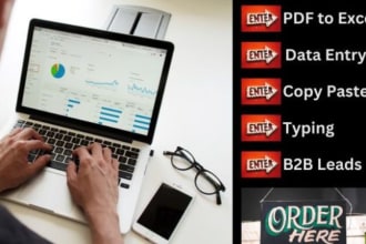 convert pdf to excel, reliable virtual assistant and data entry