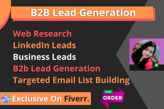 do web research and targeted b2b lead generation for your business