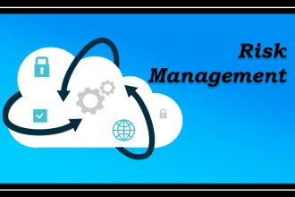 perform security and risk management