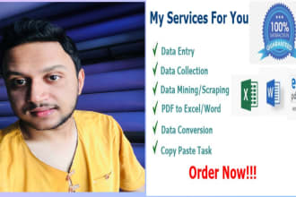 do data entry, web research, presentation design, visio design, multisim, pspice