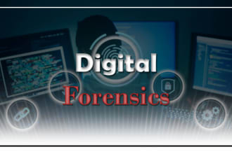 do computer forensics and investigation