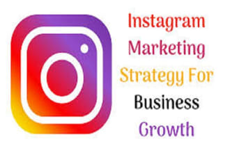 do organic instagram marketing and promotion , growth and increase followers