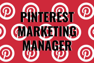 be your pinterest marketing manager, ads, and SEO pins 2025