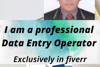 do data entry,data collector,web research and b2b lead generator