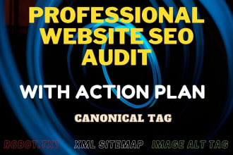 professional seo audit report with action plan your website