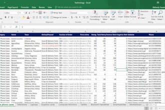 do excel data entry, copy paste and web research