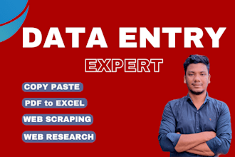 do data entry, copy paste, web research, PDF to ms excel