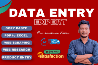 do data entry, copy paste, web research, PDF to ms excel