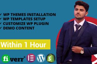 install wordpress theme, template,setup same like the demo