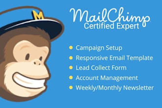 be your mailchimp expert and email marketing manager
