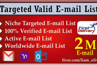 build niche targeted verified active and clean email list for marketing