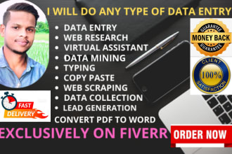 be fastest data entry operator, accurate excel data entry