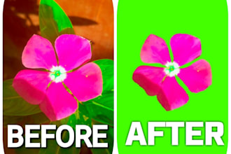 change and remove photo background in just few minutes