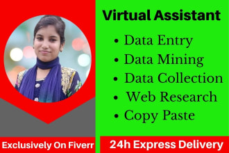 do fastest data entry, copy paste, excel data entry, web research in 24 hours