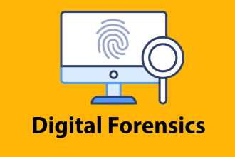 do digital forensics, and cyber crime investigations