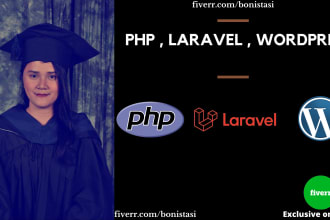 develop website using PHP, codeigniter, laravel, wordpress