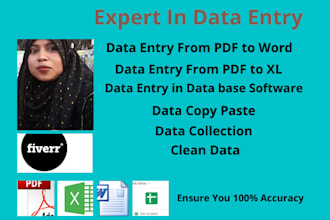 do all data type of entry in word and xl