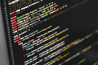 teach java and python django programs