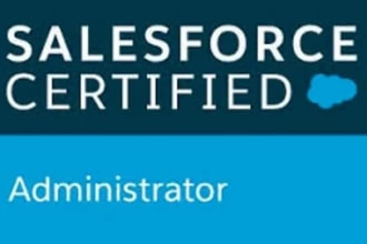 help you in salesforce administration and dev
