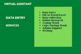 do quality data entry, typing, file conversion, web research