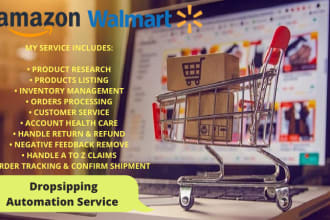 do amazon , walmart wfs, fba and fbm in USA