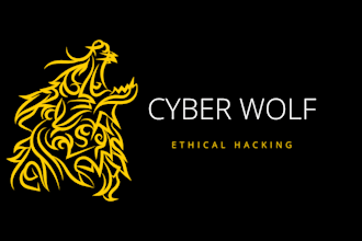 perform a website or web app vulnerability assessment