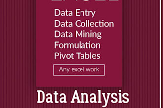 be your ms excel expert, formula , excel dashboard, web scraping
