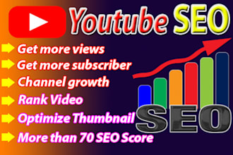do best youtube video seo to improve your ranking