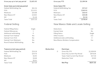 prepare employee payroll stub