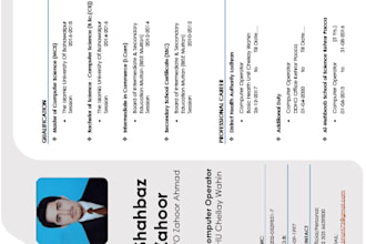 write professional executive resume cv  professional PPT  presentations
