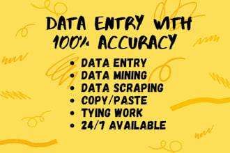 complete data entry projects with correctness