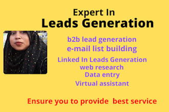 do b2b lead generation for business promotion and data entry
