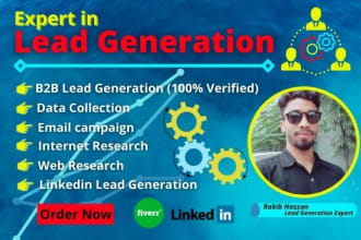 do b2b lead generation, facebook marketing, email campaign and data collection