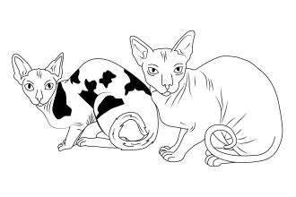 draw an outline art of you pet and any cartoon character