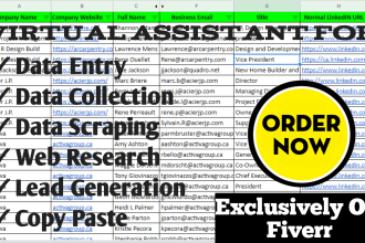 do data entry, data collection, email collection, data scrape and web research