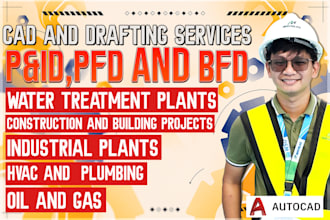 make p and id, pid with bfd, pfd, equipment list and tagging