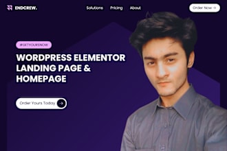 build wordpress elementor landing page, homepage