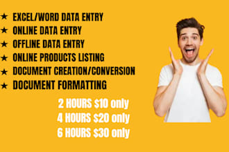 do professional manual typing your pro fast typist type writer data entry clerk