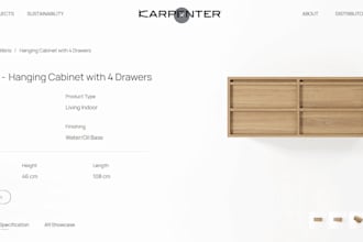 develope an website using framer for you