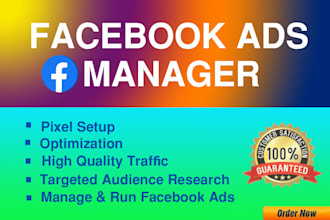 setup, optimize and manage facebook ads manager